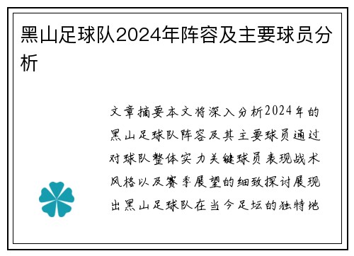 黑山足球队2024年阵容及主要球员分析