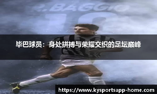 开云体育app
